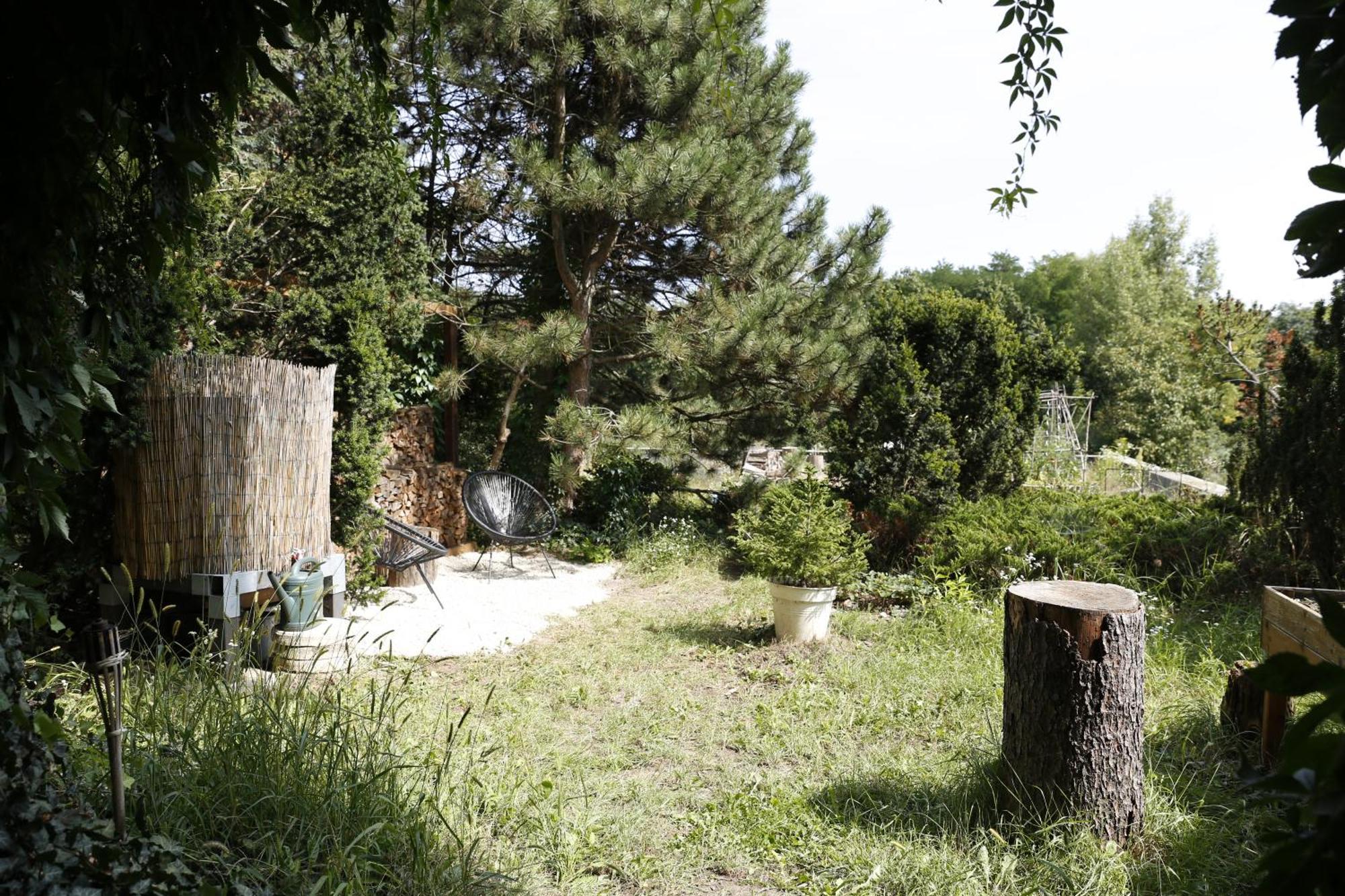 Apartment Large 120m With Garden And Cat Near Zoo *