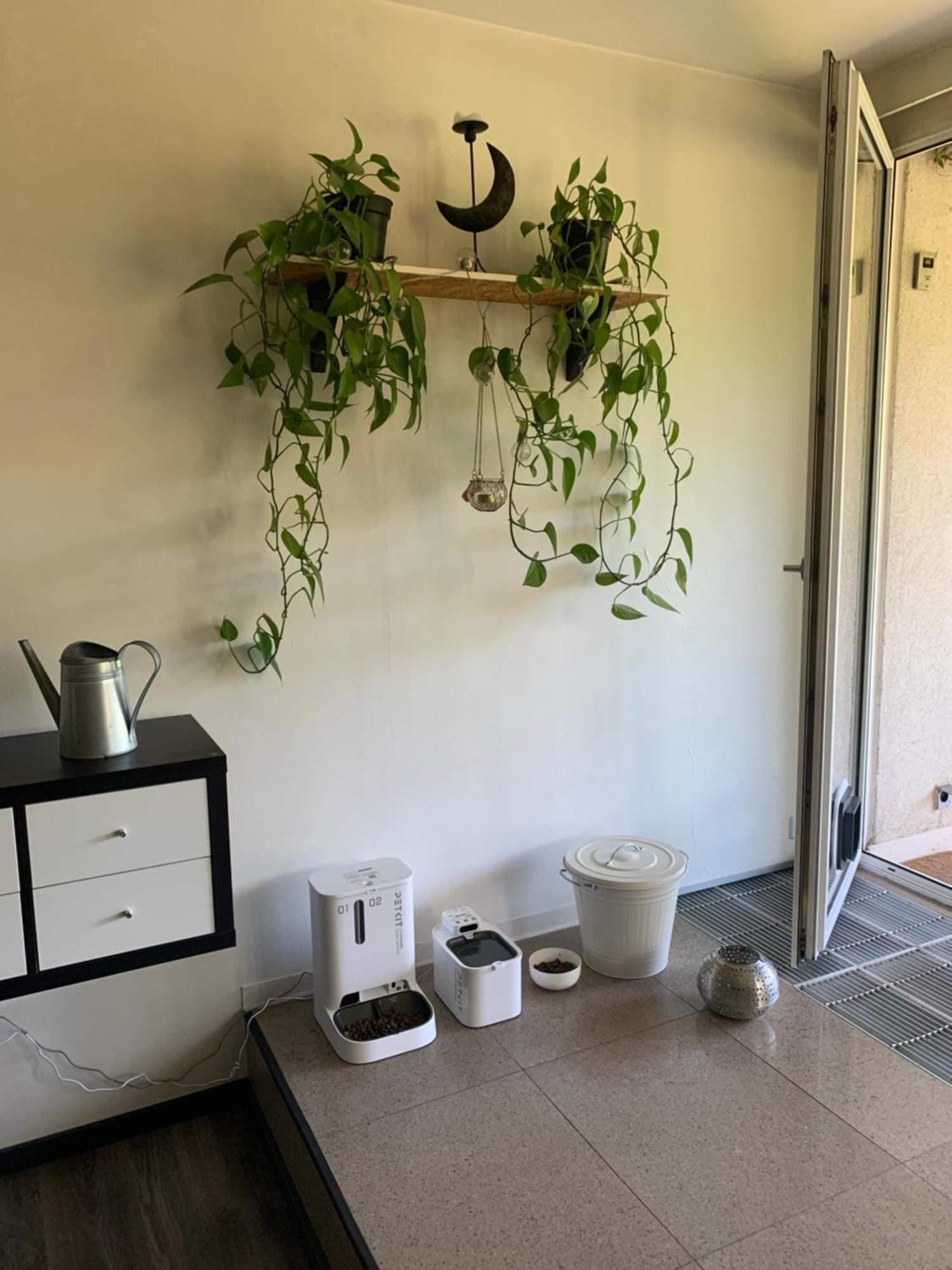 Large 120m With Garden And Cat Near Zoo Apartment