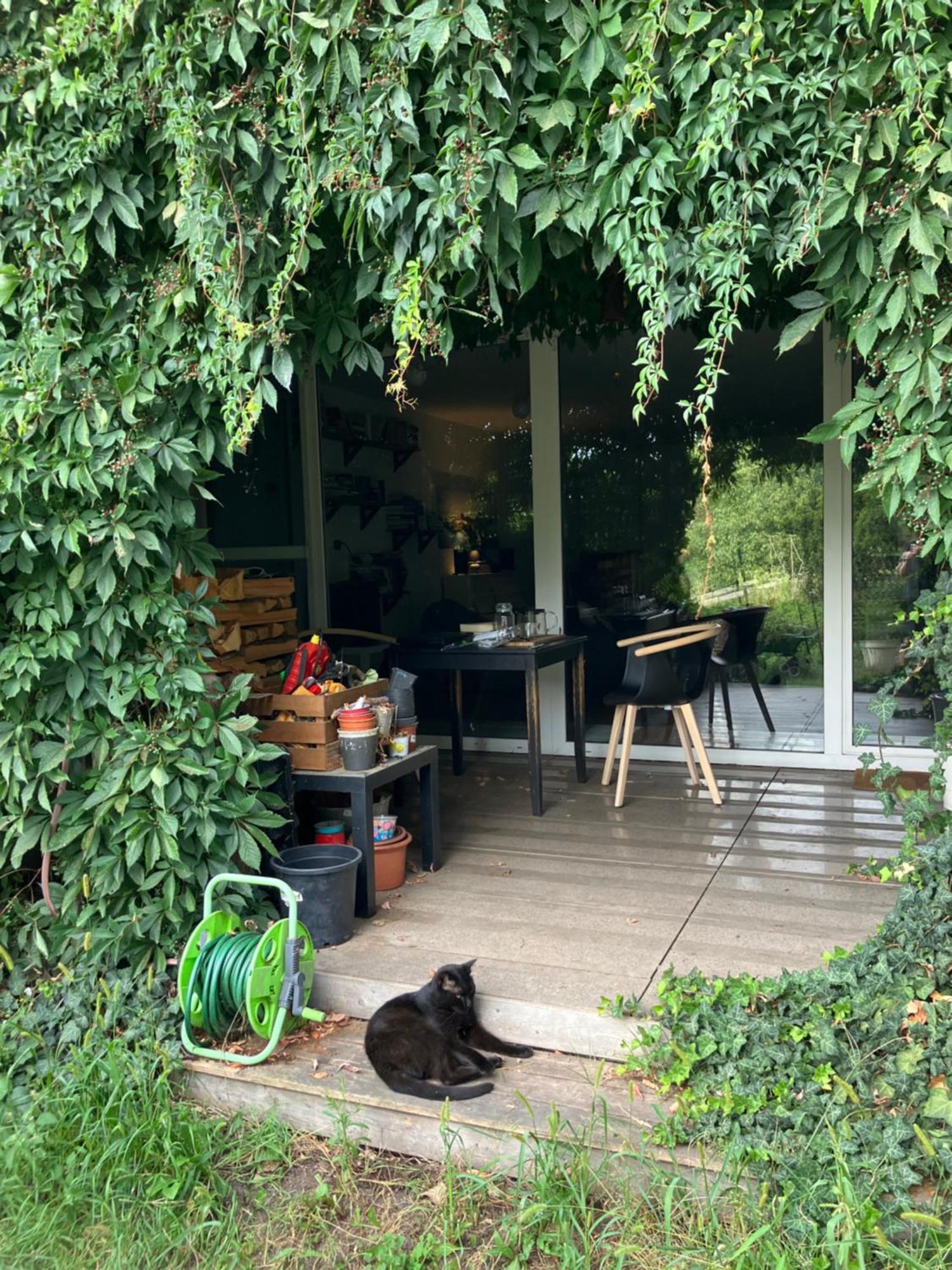 Large 120m With Garden And Cat Near Zoo Apartment *